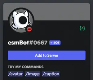 Discord Bot Mini Profile