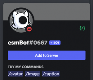 Discord Bot Mini Profile