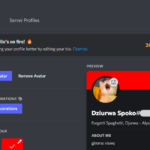 Discord New Feature Your Profiles Overview