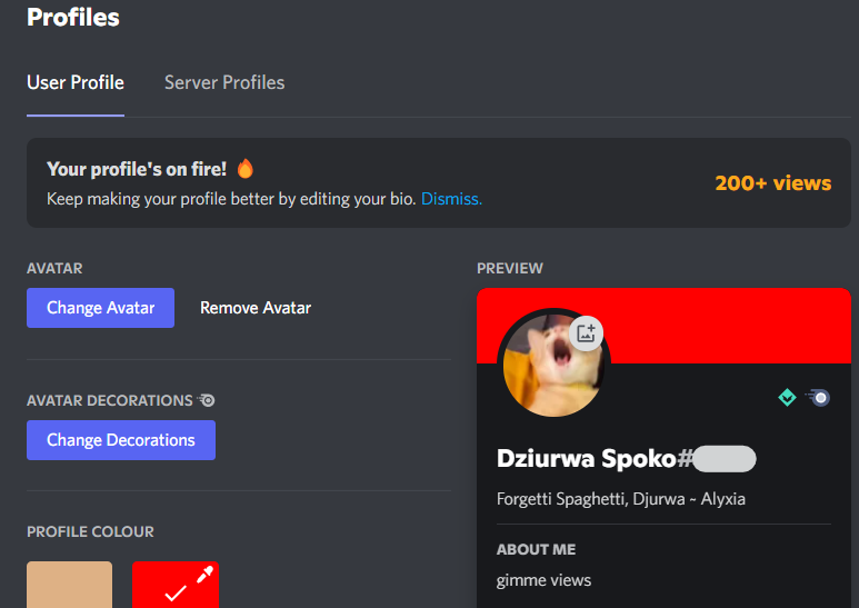 Discord New Feature Your Profiles Overview