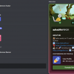 Discord Profile Theme Part 3 - HubPrix.com