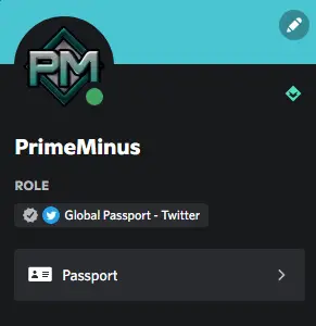 Discord Twitter Overview Passport