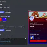 Discord - User Profile Skins New Update 2022 - Hubprix.com