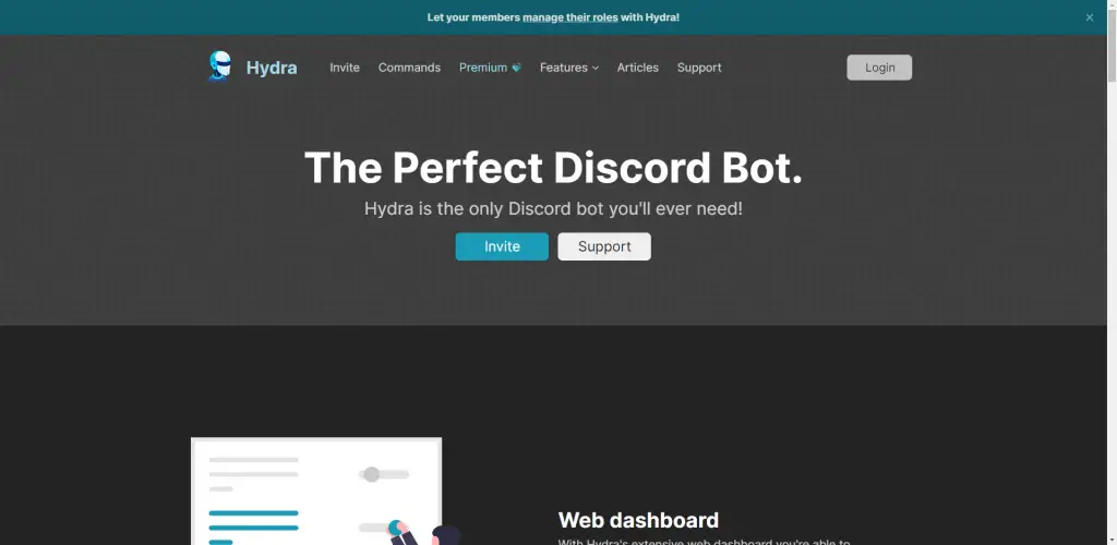 Hyder Discord Music Bot Overview - Hubprix.com