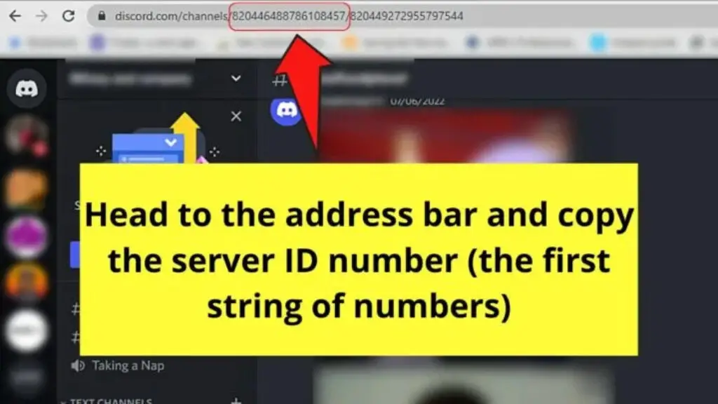 Discord Address Of Server ID