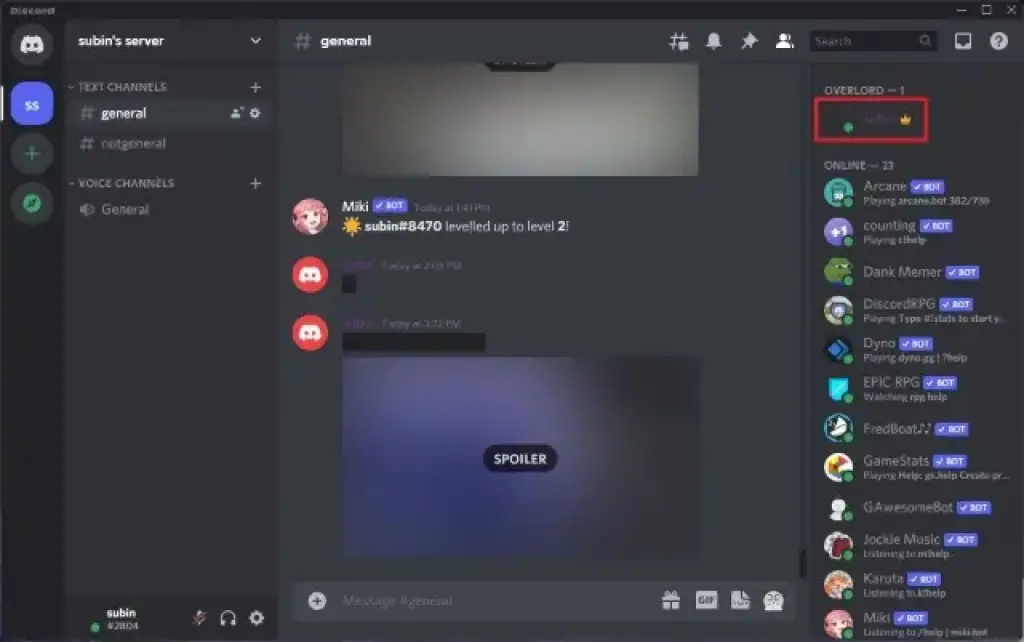 Discord Avatar Invisible Preview Showcase HubPrix