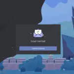 Discord Email Verification Sent Success