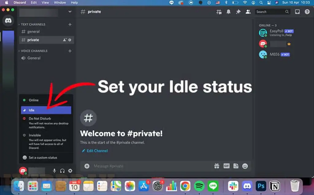 Discord Idle Status Online Application