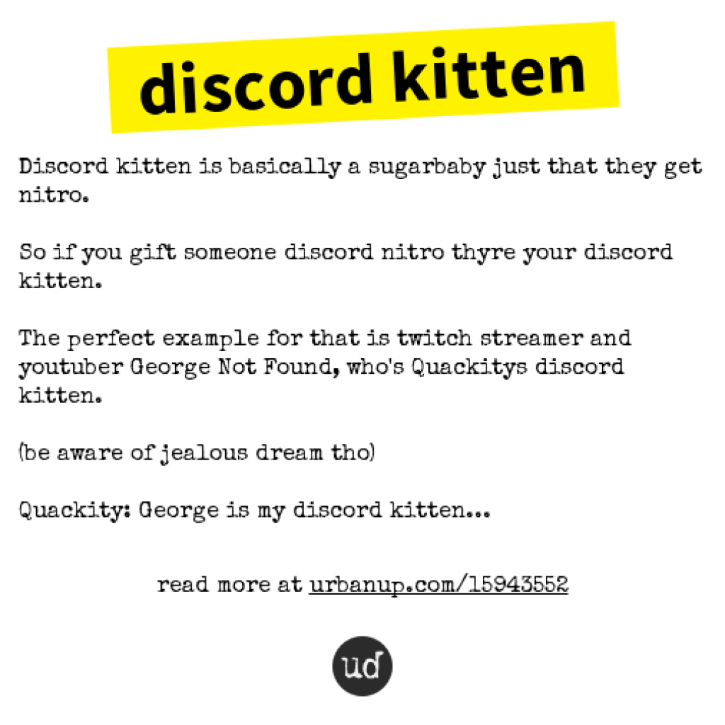 Discord Kitten Twitter Feed Meme HubPrix