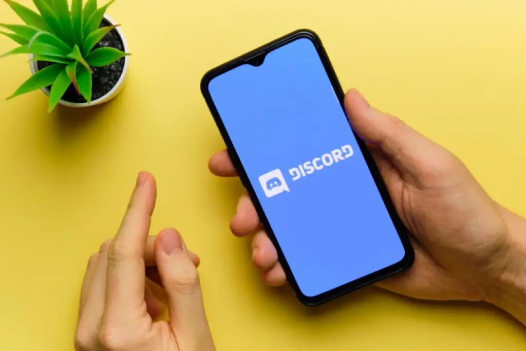 Discord Mobile Simple Overview Review Thumbnail