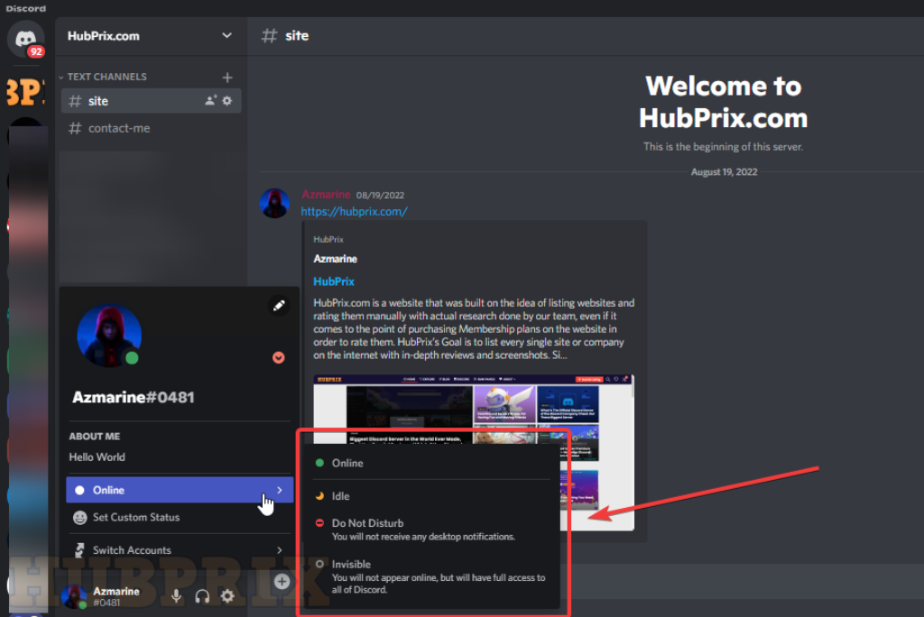 Discord Online Status Online Idle Disturb Preview HubPrix
