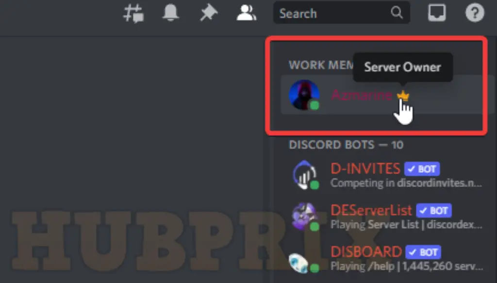 Discord Server Owner Tag Example
