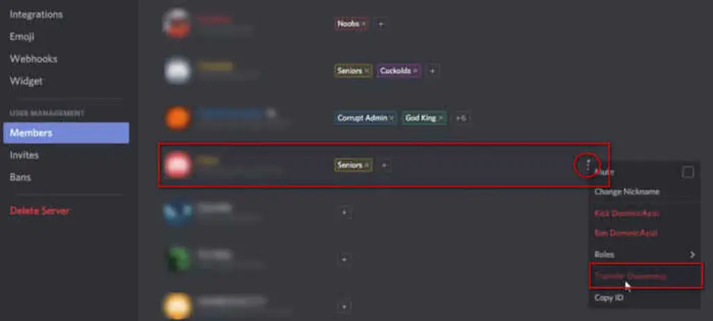 Discord Server Transfer Ownership Role