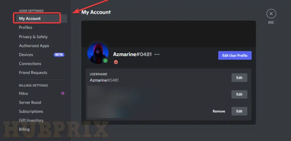 Discord Setting Panel My Account Overview