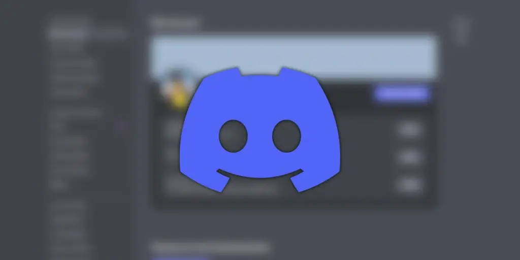 Discord User Logo Landscape Flash HubPrix