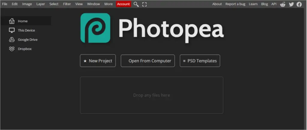 Photopea Review Image