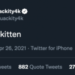 Quackity4k Twitter Discord Kitten Tweet HubPrix