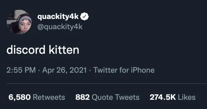 Quackity4k Twitter Discord Kitten Tweet HubPrix