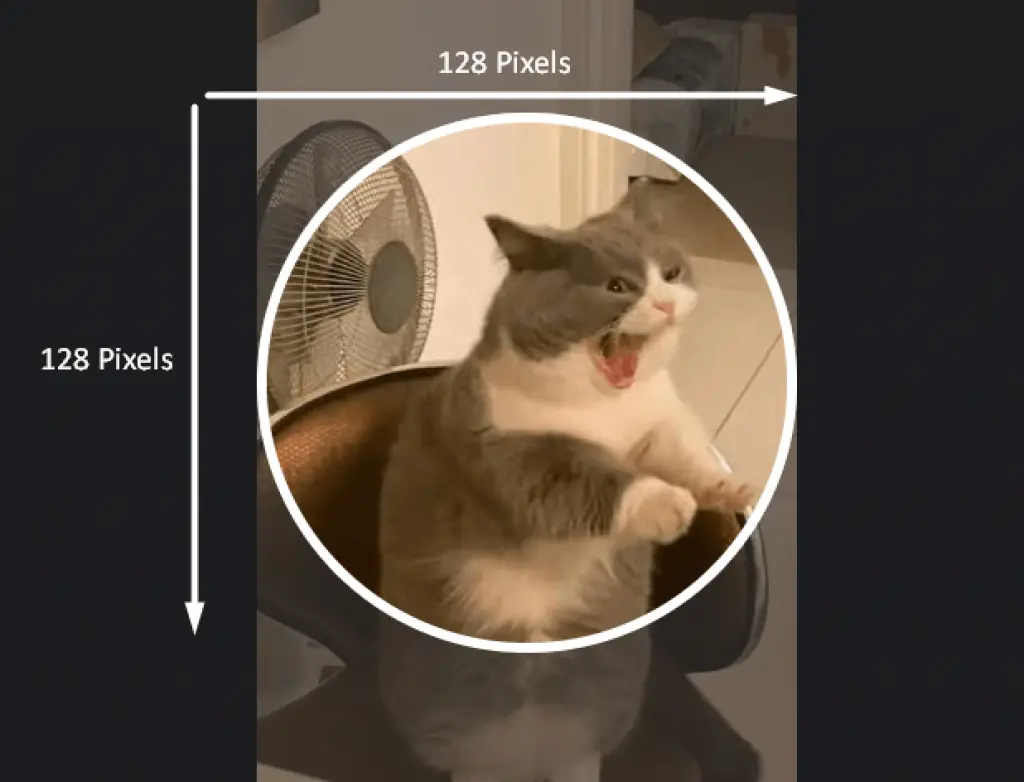 Recommended Discord Profile Picture Size - HubPrix Example
