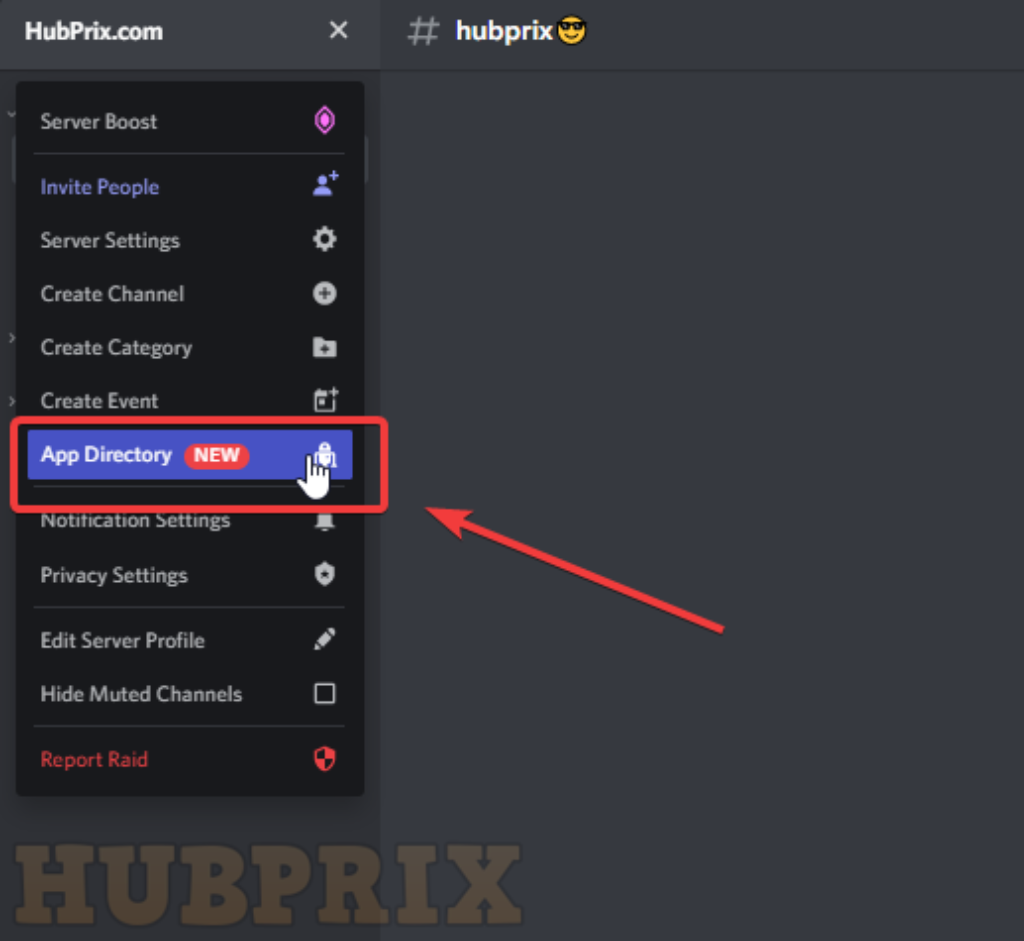 App Directory Discord Setting Options