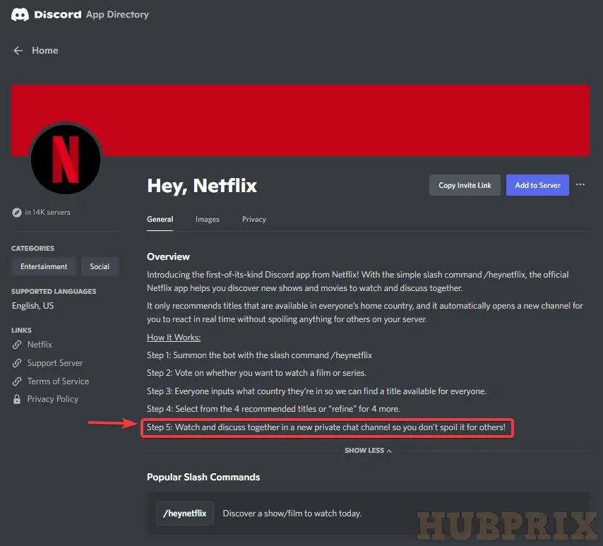 Discord Netflix Description Details