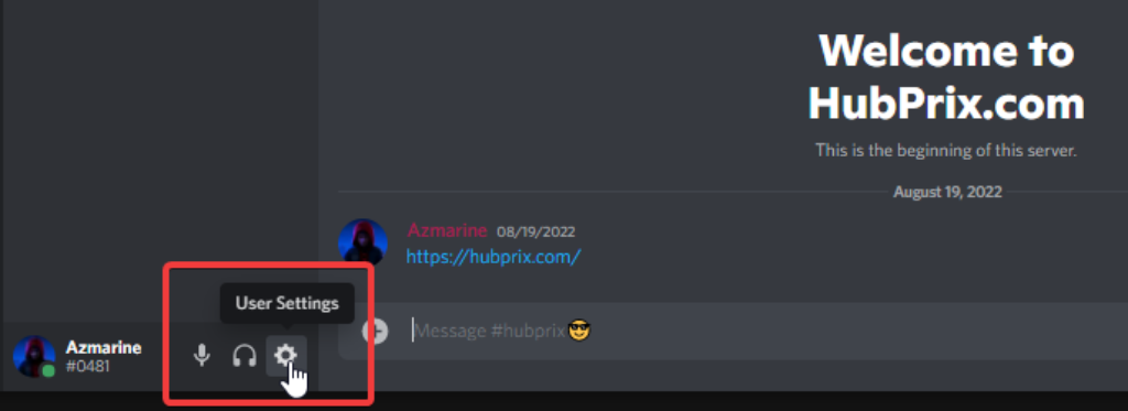 Discord User Setting Click Option Gear Icon