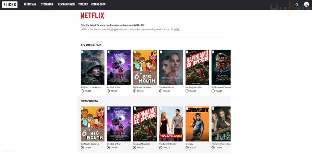 Flicks UK Streaming App Overview
