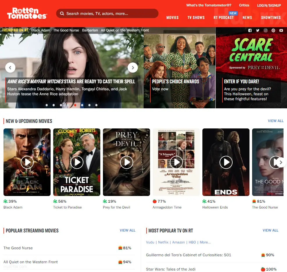 RottenTomatoes Website Review Overview