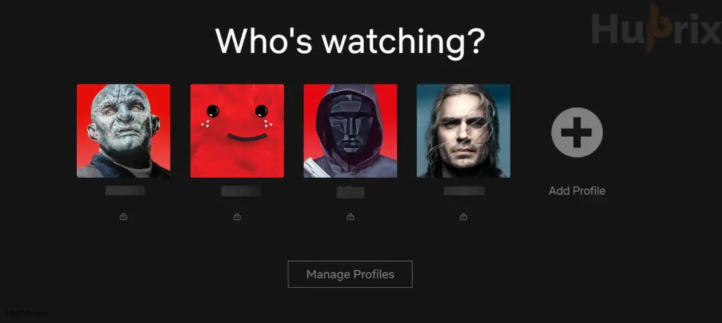 Netflix Profile Interface Preview
